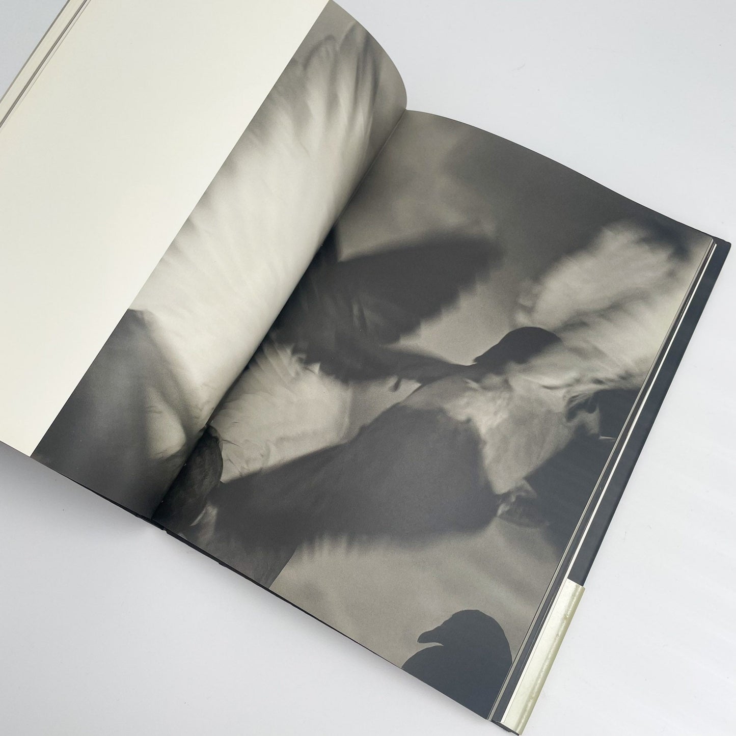 オノデラユキ　カメラキメラ cameraChimera 水声社