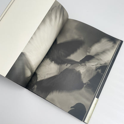 オノデラユキ　カメラキメラ cameraChimera 水声社