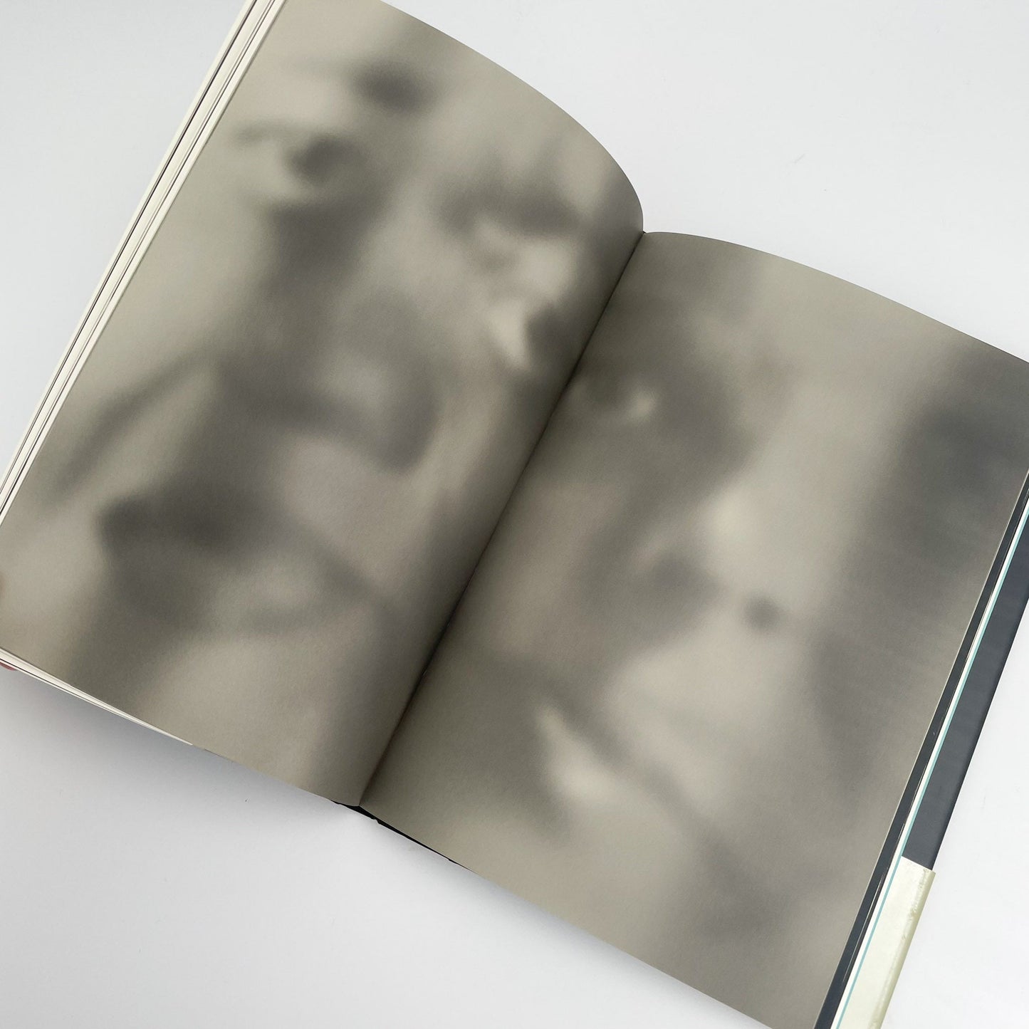 オノデラユキ　カメラキメラ cameraChimera 水声社