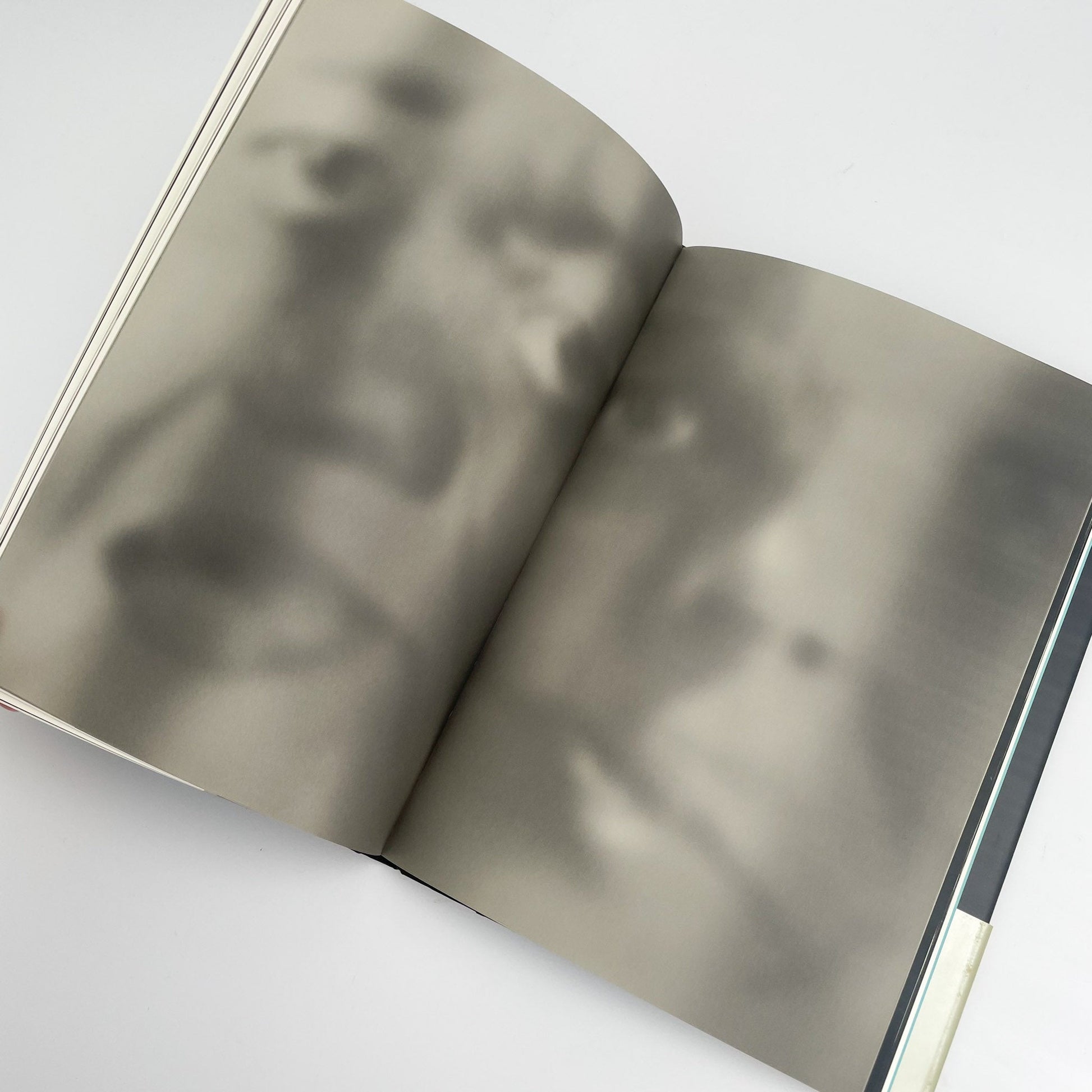 オノデラユキ　カメラキメラ cameraChimera 水声社