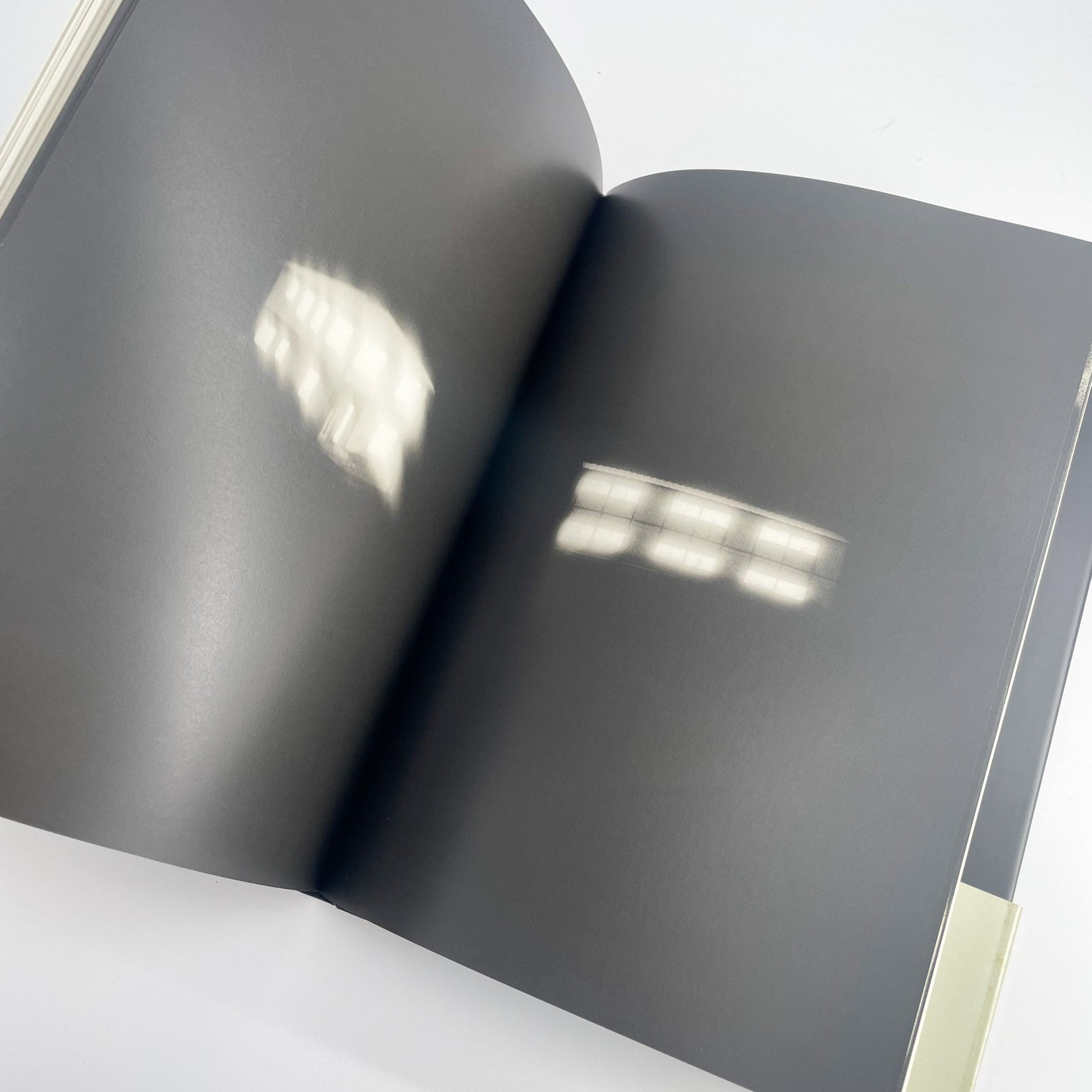 オノデラユキ　カメラキメラ cameraChimera 水声社