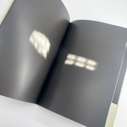 オノデラユキ　カメラキメラ cameraChimera 水声社