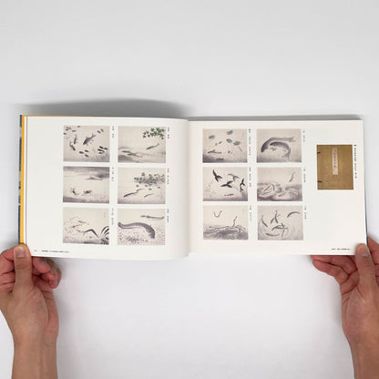 大野麥風展　「大日本魚類画集」と博物画にみる魚たち 東京ステーションギャラリー