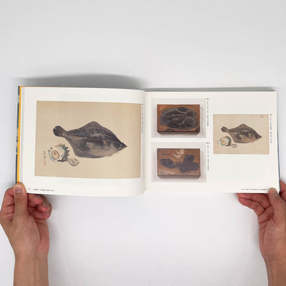 大野麥風展　「大日本魚類画集」と博物画にみる魚たち 東京ステーションギャラリー