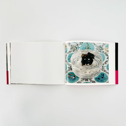 うつゆみこ　はこぶねのそと　OUT of ARK - G/P - 文福