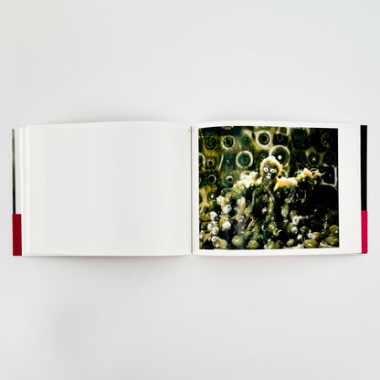 うつゆみこ　はこぶねのそと　OUT of ARK - G/P - 文福