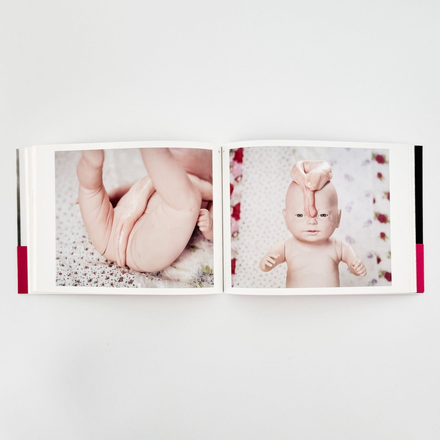 うつゆみこ　はこぶねのそと　OUT of ARK - G/P - 文福