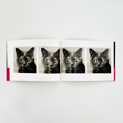 うつゆみこ　はこぶねのそと　OUT of ARK - G/P - 文福