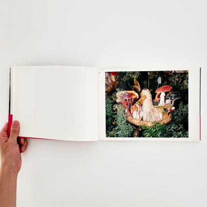 うつゆみこ　はこぶねのそと　OUT of ARK - G/P - 文福