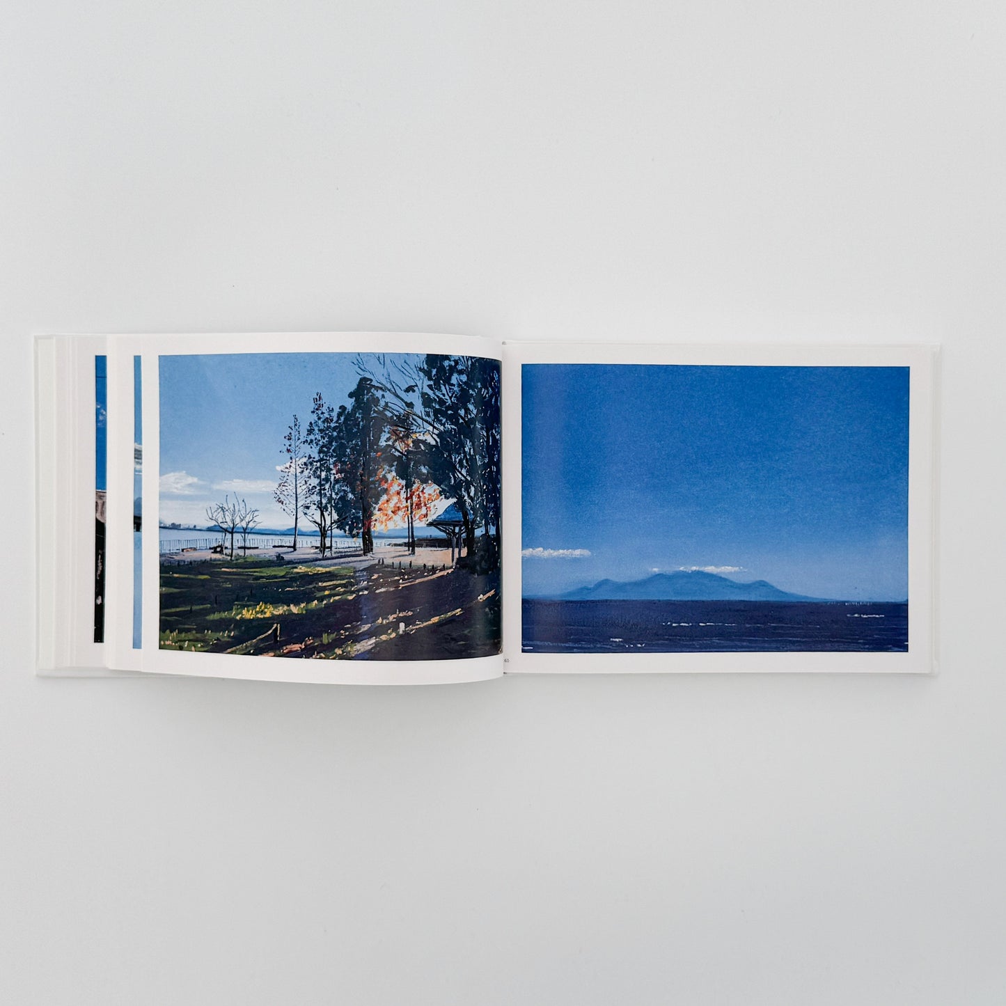 坂口恭平　Water（特装版・サイン入り） 左右社