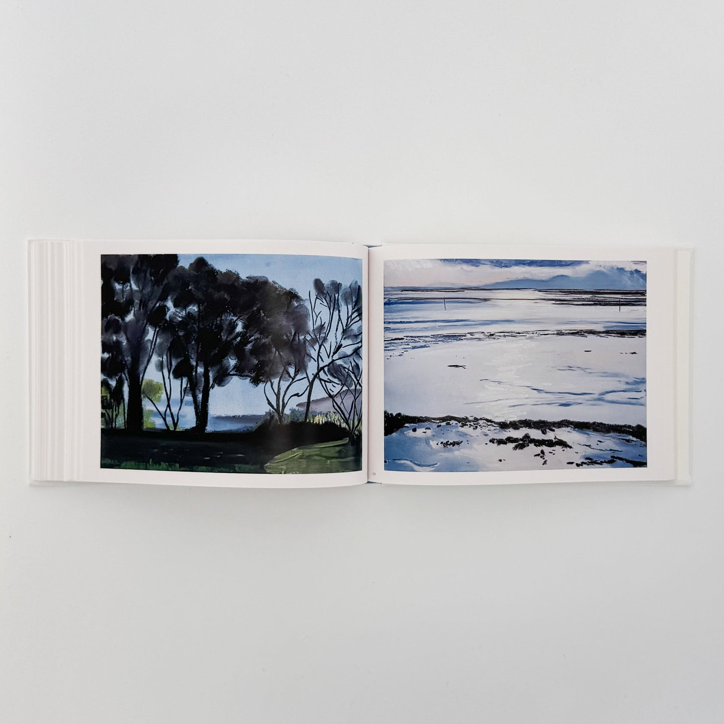 坂口恭平　Water（特装版・サイン入り） 左右社