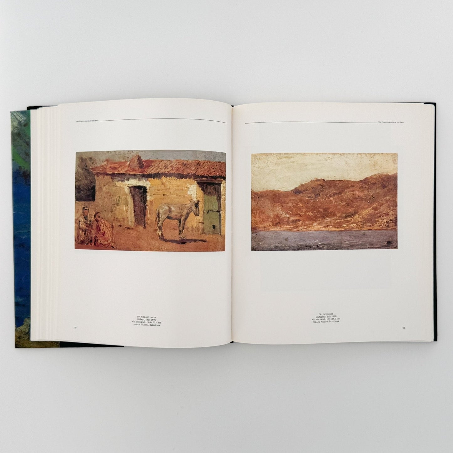 (英文)ピカソの風景画: PICASSO Landscapes 1890 - 1912 - Bulfinch Press - 文福