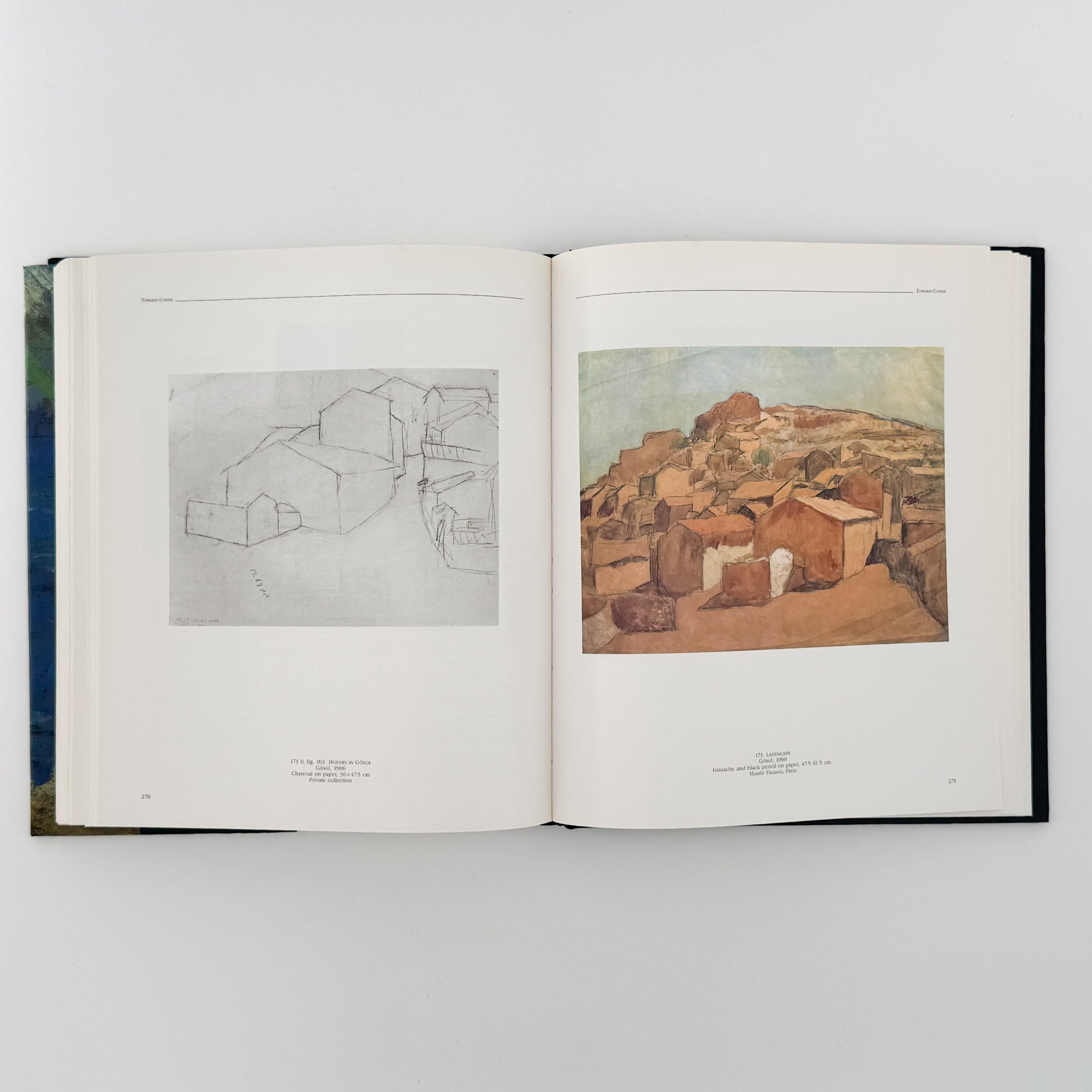 ピカソの風景画: PICASSO Landscapes 1890-1912 - 画集