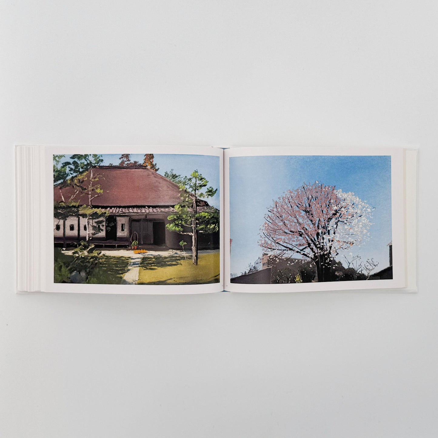 坂口恭平　Water（特装版・サイン入り） 左右社