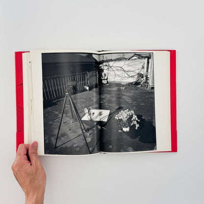 荒木経惟　写真私情主義 - 平凡社 - 文福