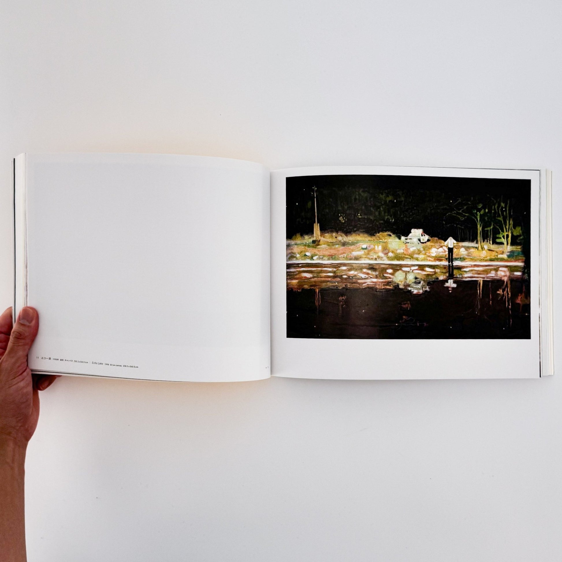 ピーター・ドイグ展図録 - 東京国立近代美術館 - 文福