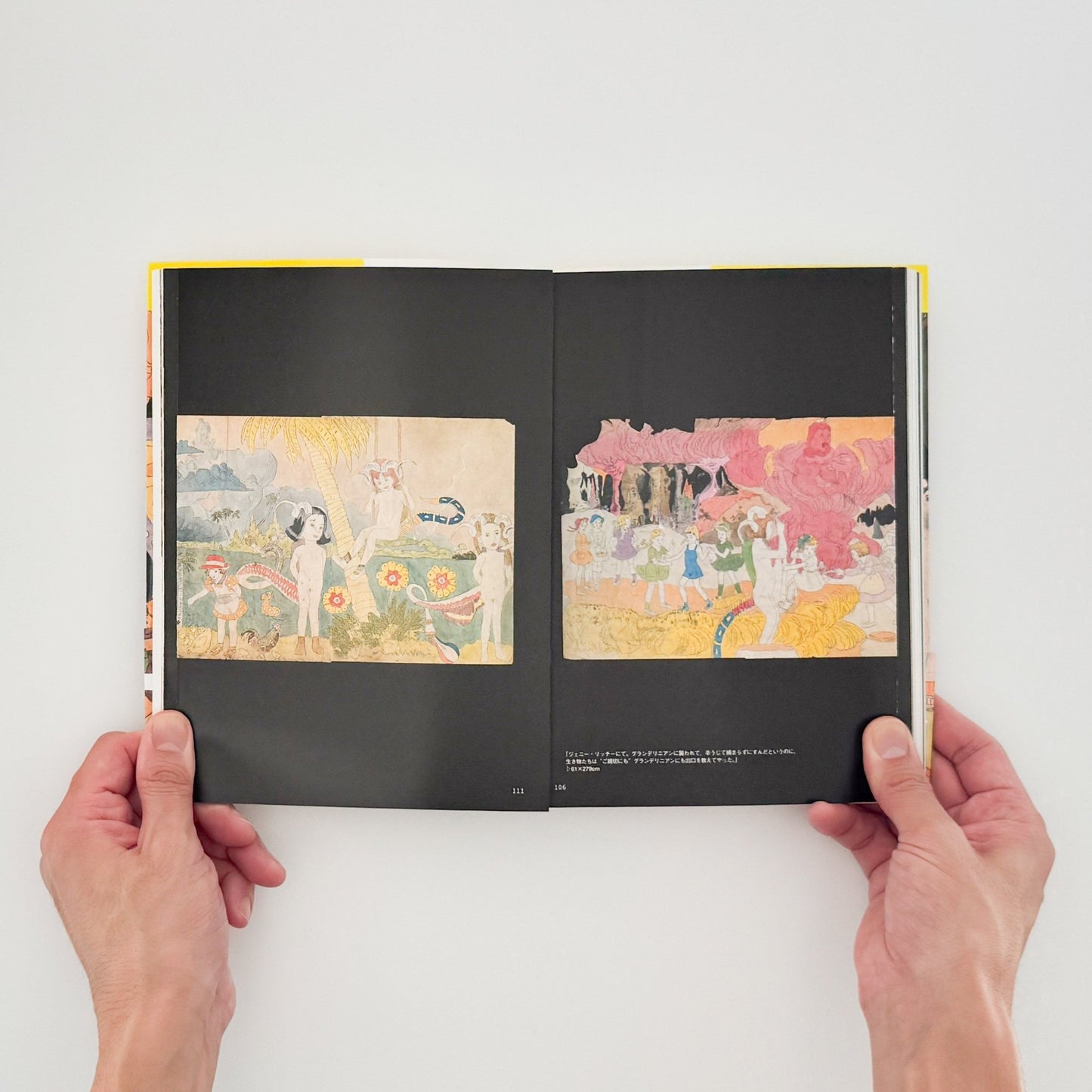 ヘンリー・ダーガー　非現実を生きる（コロナ・ブックス） - 平凡社 - 文福