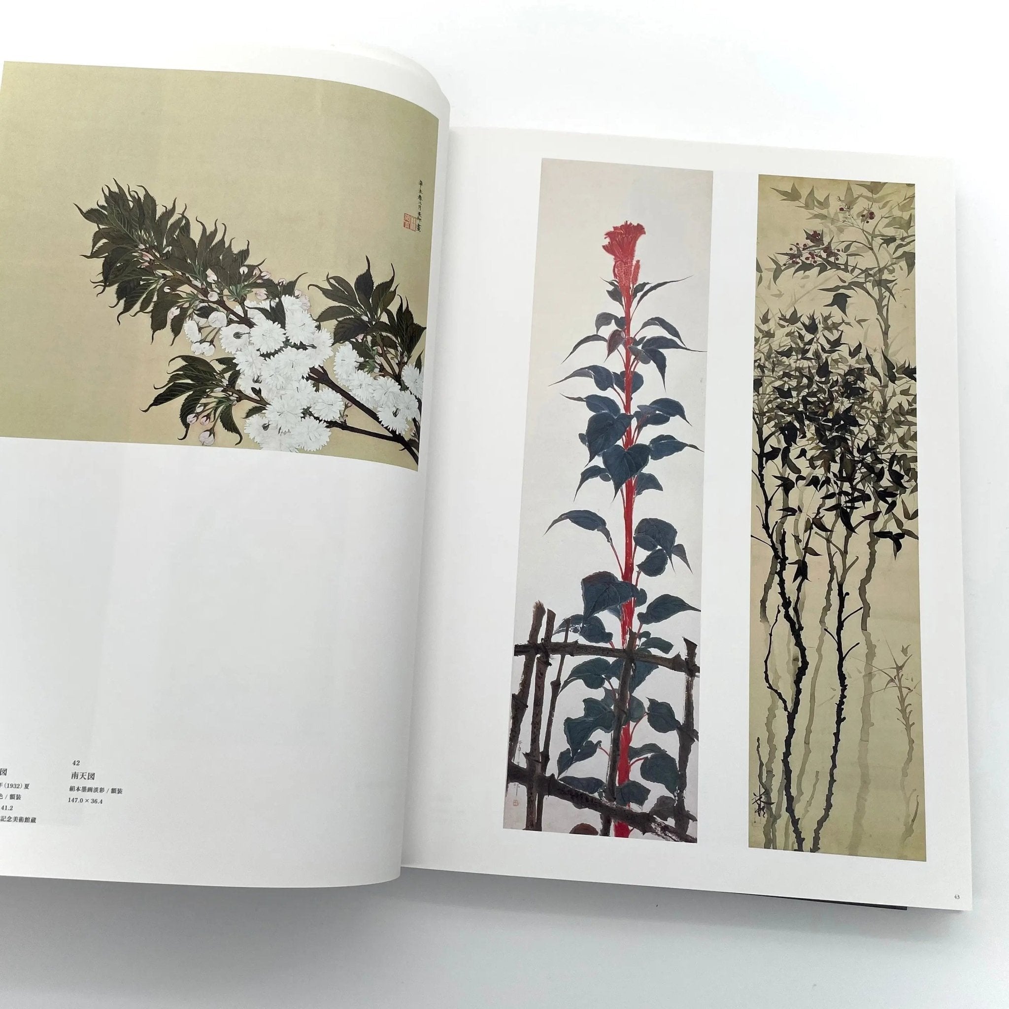 田中一村 新たなる全貌(展覧会公式図録） – 文福