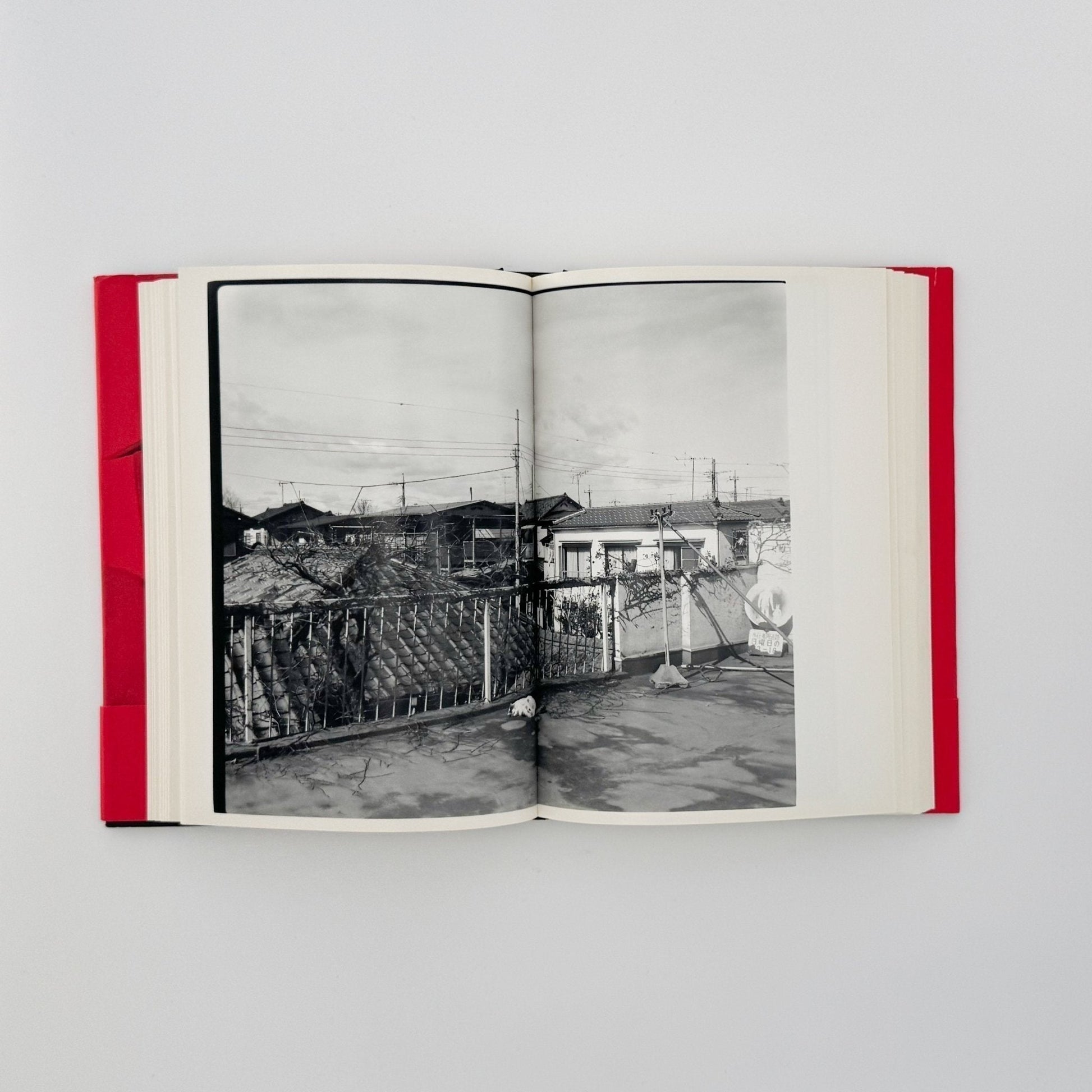 荒木経惟　写真私情主義 - 平凡社 - 文福