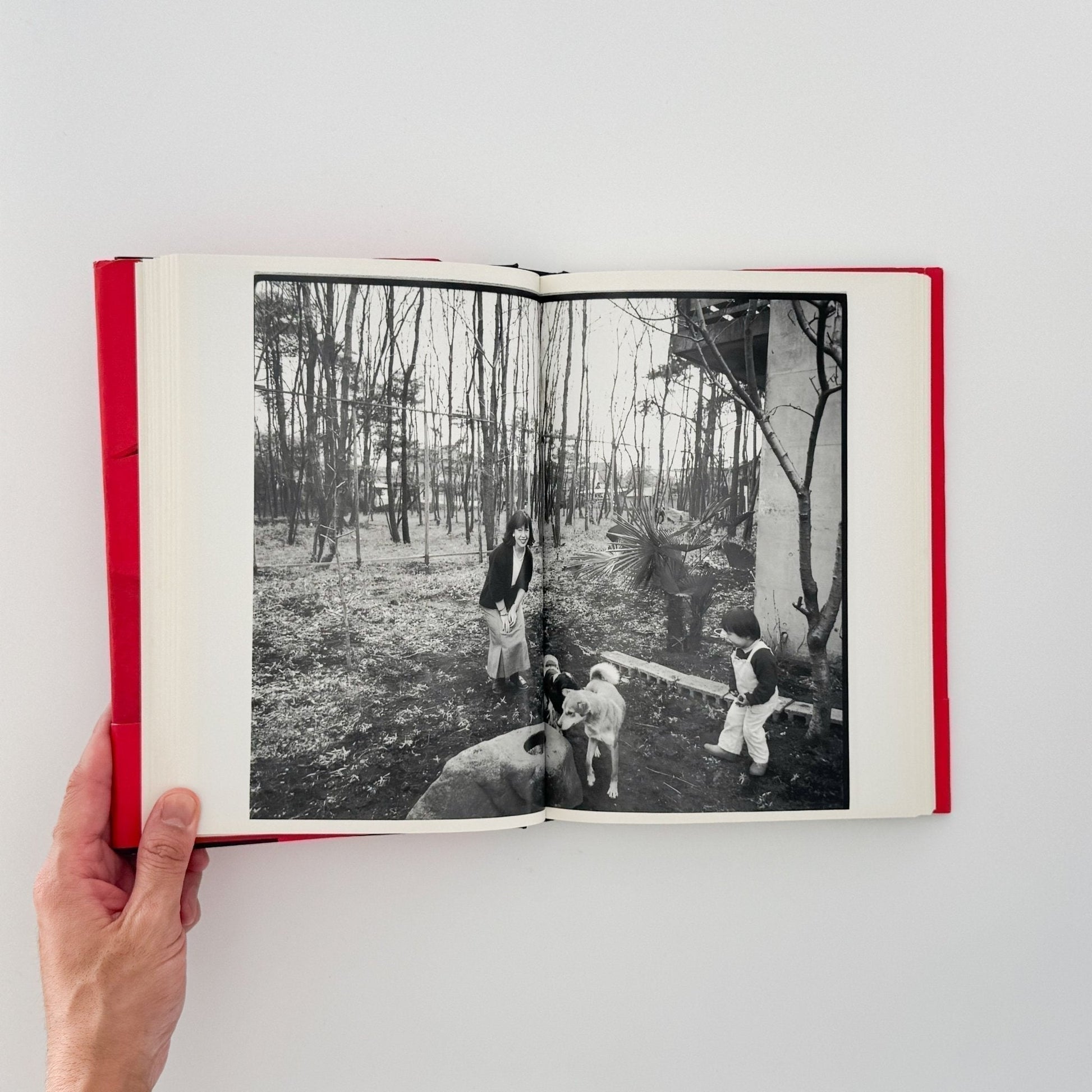 荒木経惟　写真私情主義 - 平凡社 - 文福