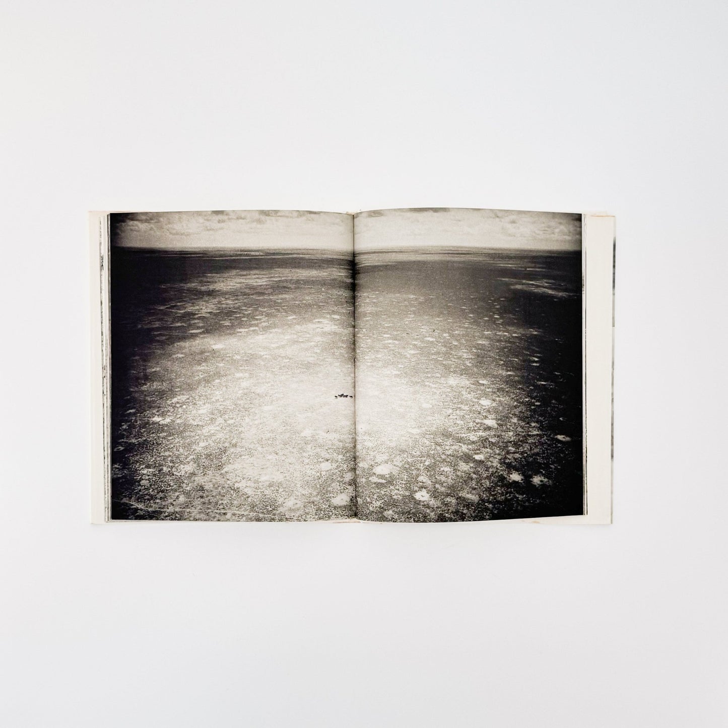 ピーター・ビアード　楽園からの最後の言葉 - 集英社 - 文福