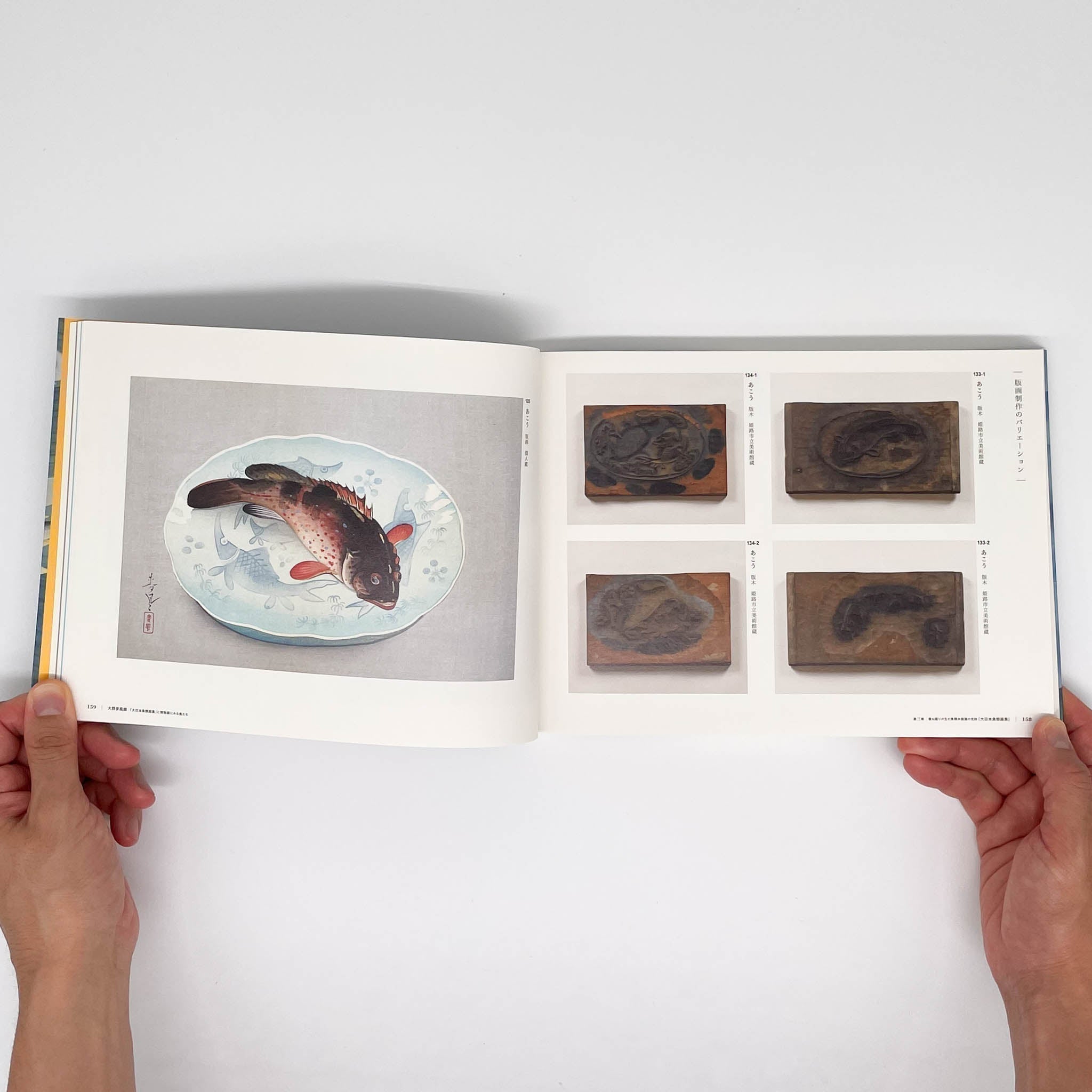 大野麥風展 「大日本魚類画集」と博物画にみる魚たち （展覧会図録