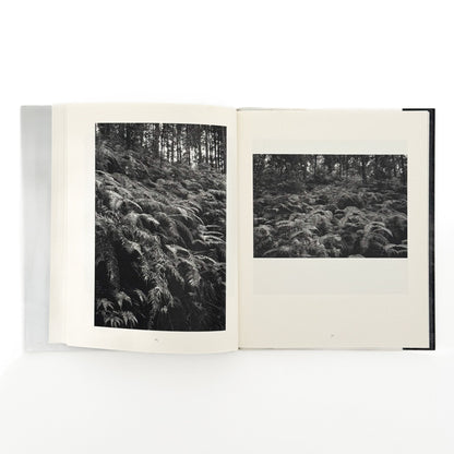 （独英文）畠山直哉 、バルタザール・ブルクハルト写真展図録　ふたつの山 - Executive Committee of Two Mountains - 文福