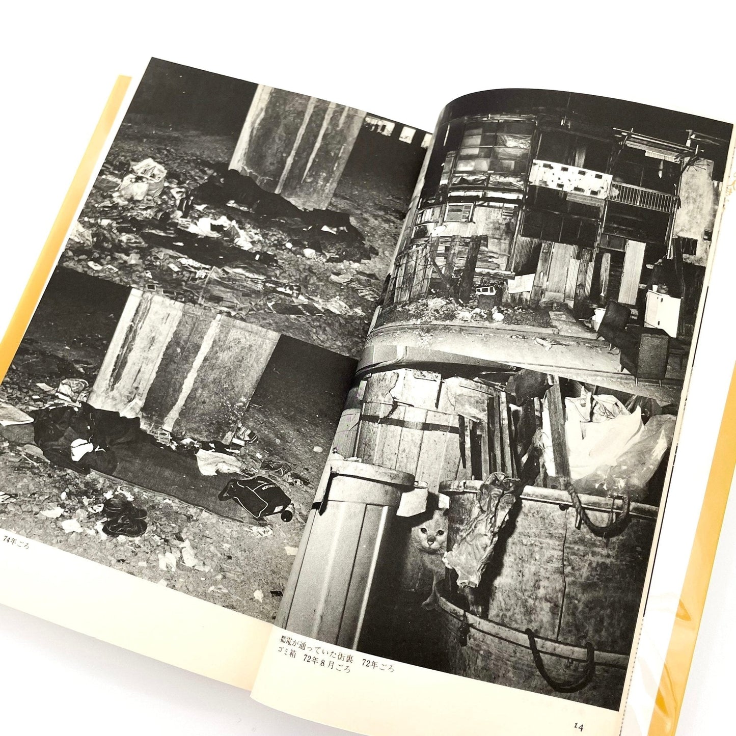 渡辺克巳　新宿群盗伝伝 - 晩聲社 - 文福