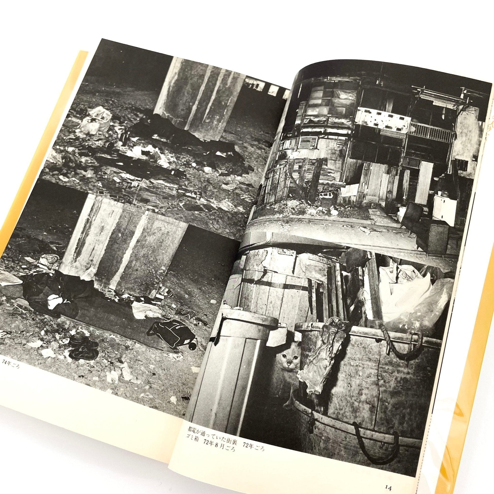 渡辺克巳　新宿群盗伝伝 - 晩聲社 - 文福