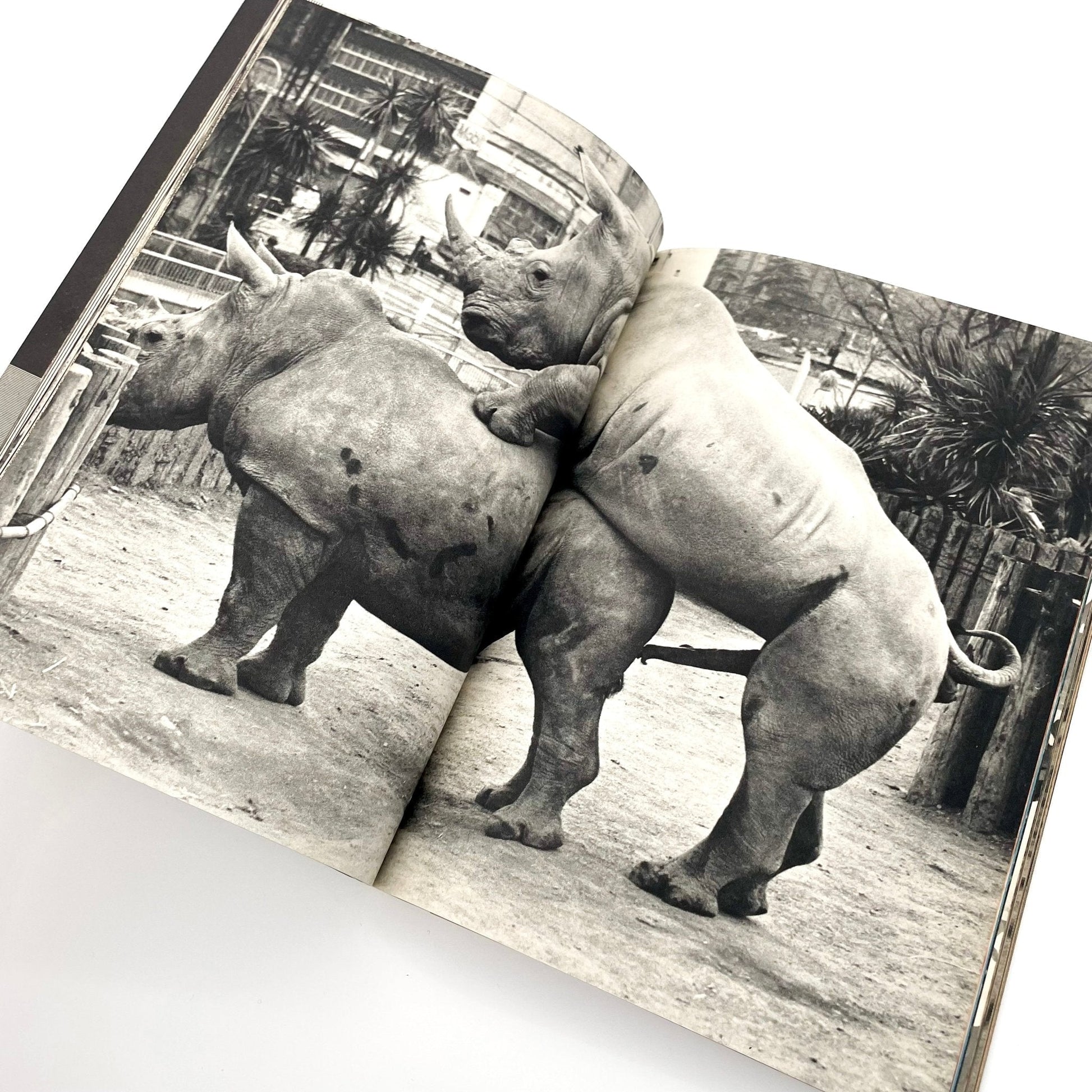 岩合徳光　交尾 - ノーベル書房 - 文福