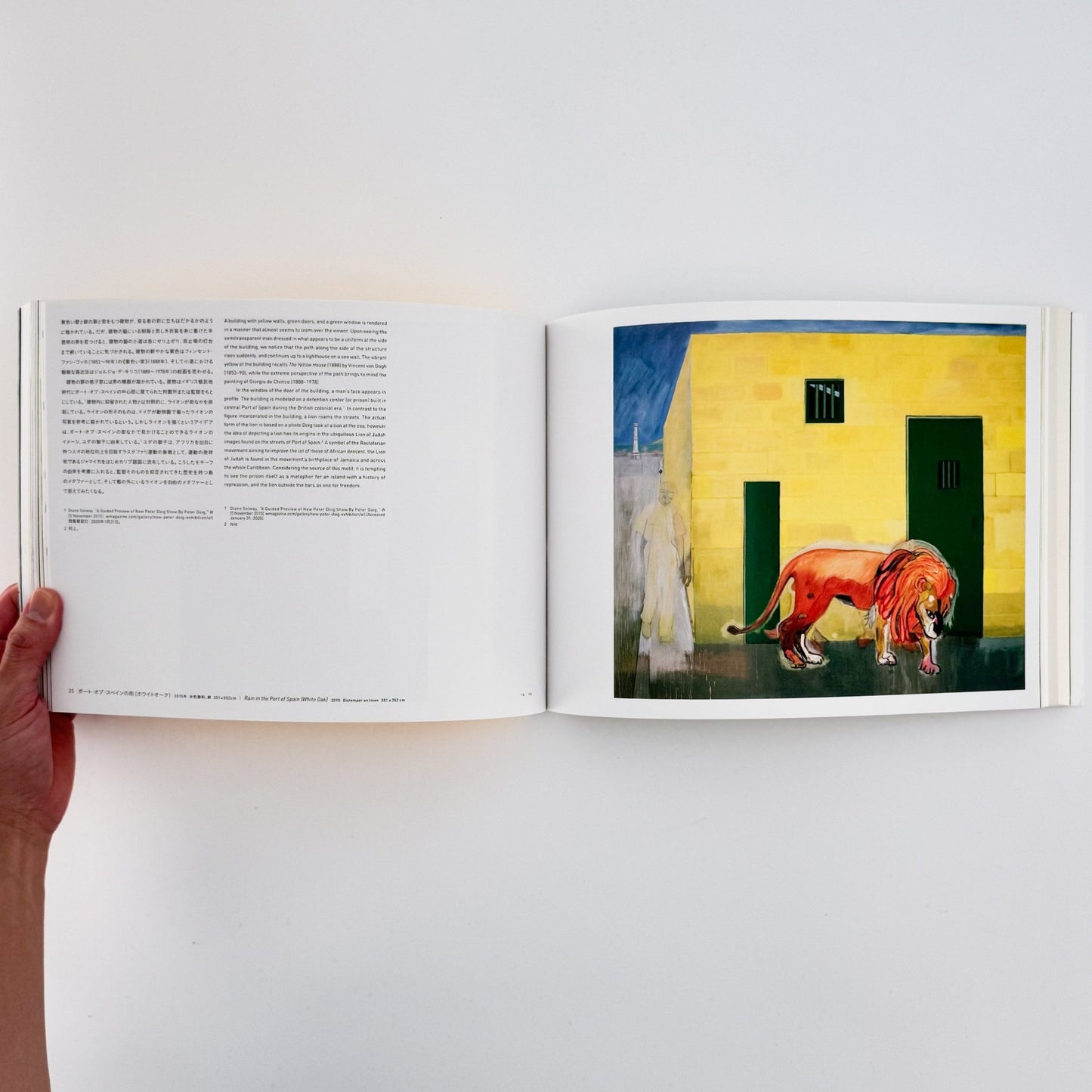 ピーター・ドイグ展図録 - 東京国立近代美術館 - 文福