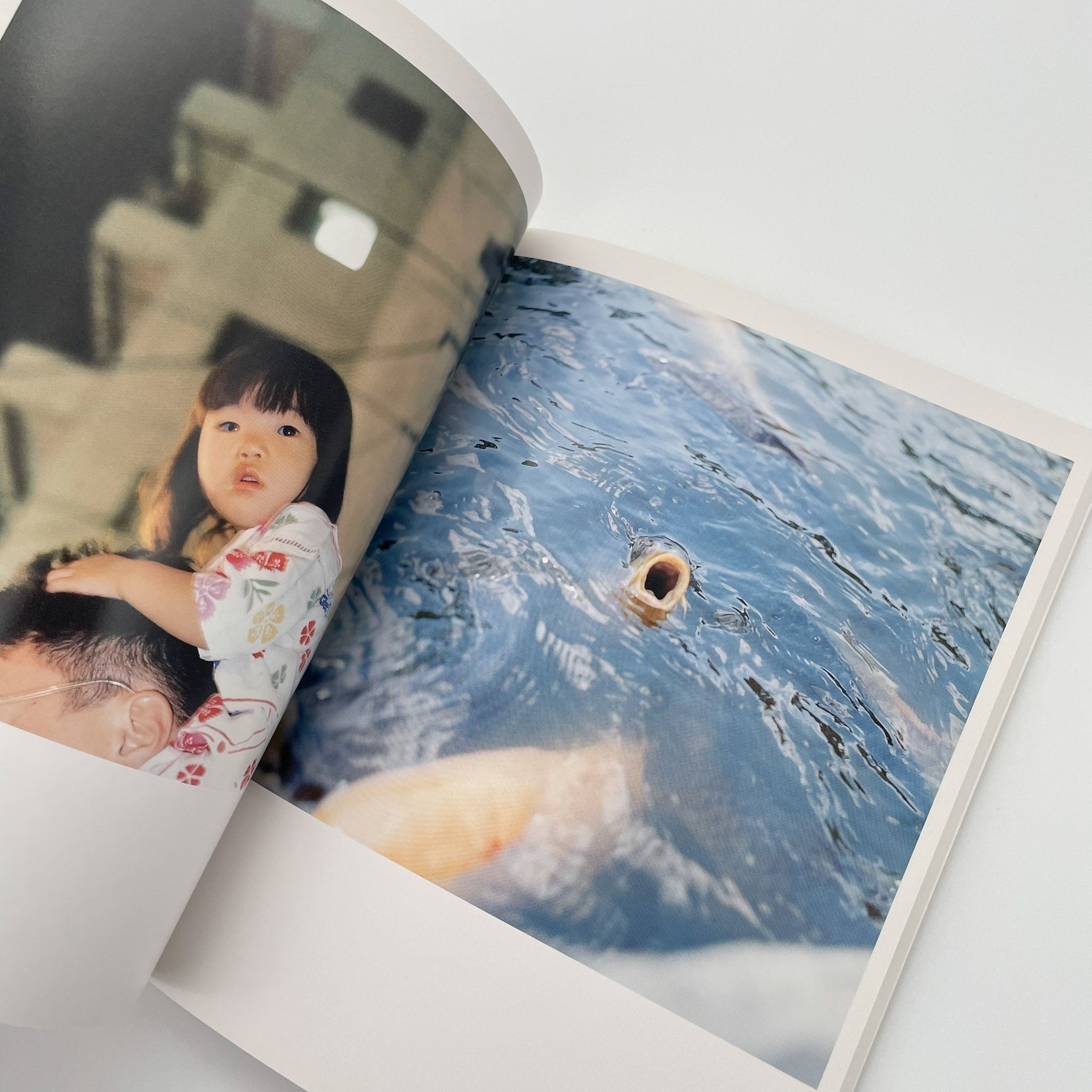川内倫子写真集 うたたね – 文福
