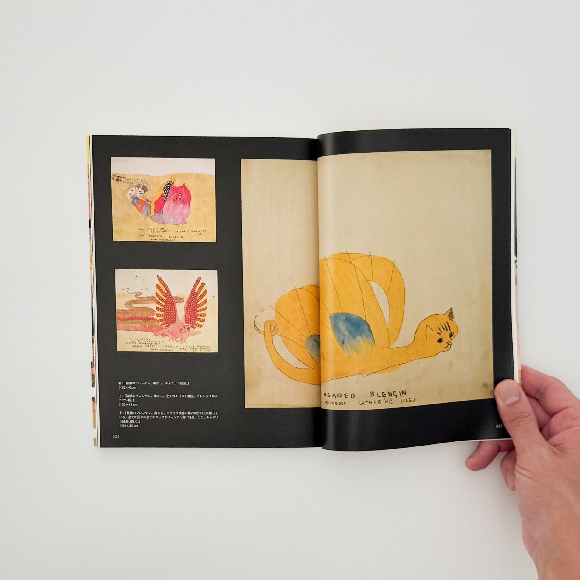 ヘンリー・ダーガー　非現実を生きる（コロナ・ブックス） - 平凡社 - 文福