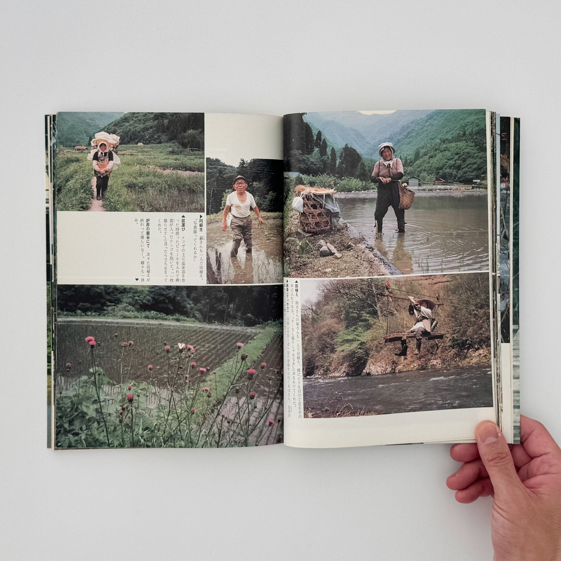 増山たづ子　故郷：私の徳山村写真日記 - じゃこめてい出版 - 文福