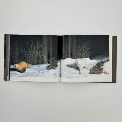 宮崎学　けもの道の四季 - 平凡社 - 文福