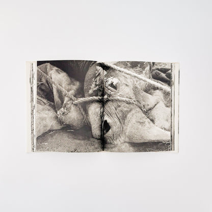 ピーター・ビアード　楽園からの最後の言葉 - 集英社 - 文福