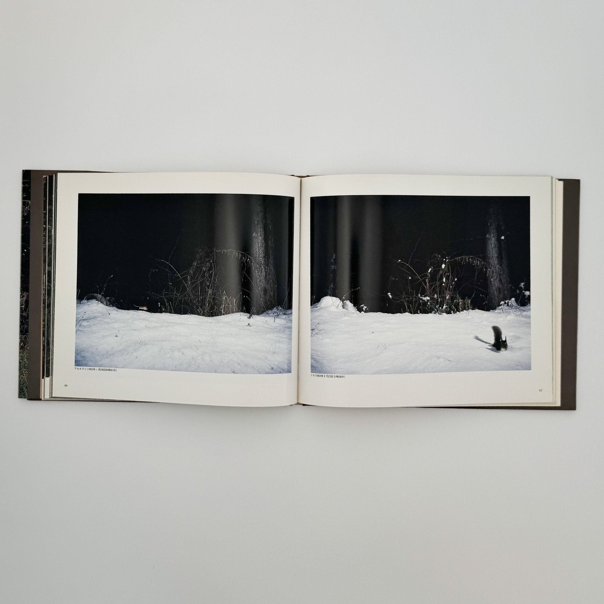 宮崎学　けもの道の四季 - 平凡社 - 文福