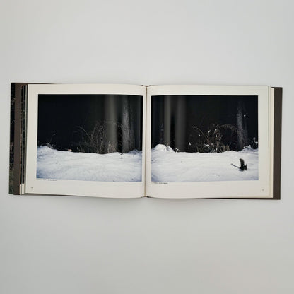 宮崎学　けもの道の四季 - 平凡社 - 文福