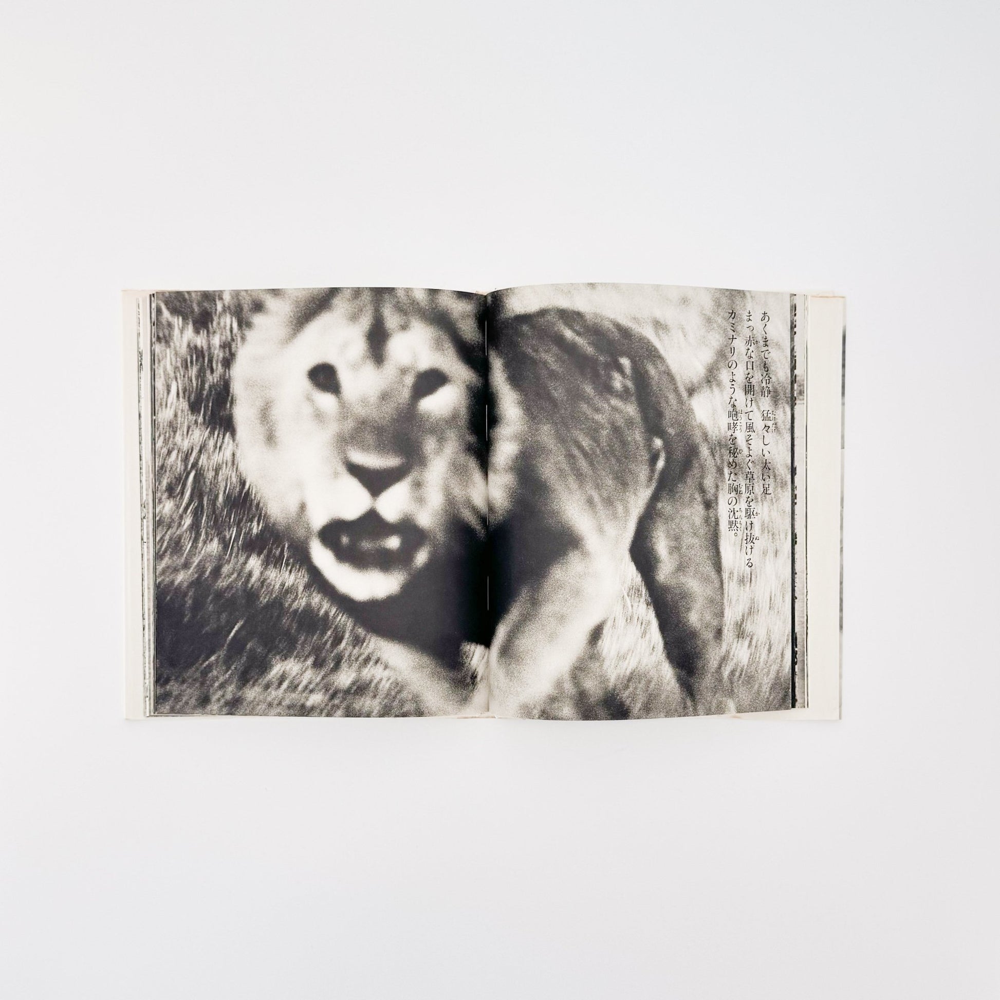 ピーター・ビアード　楽園からの最後の言葉 - 集英社 - 文福