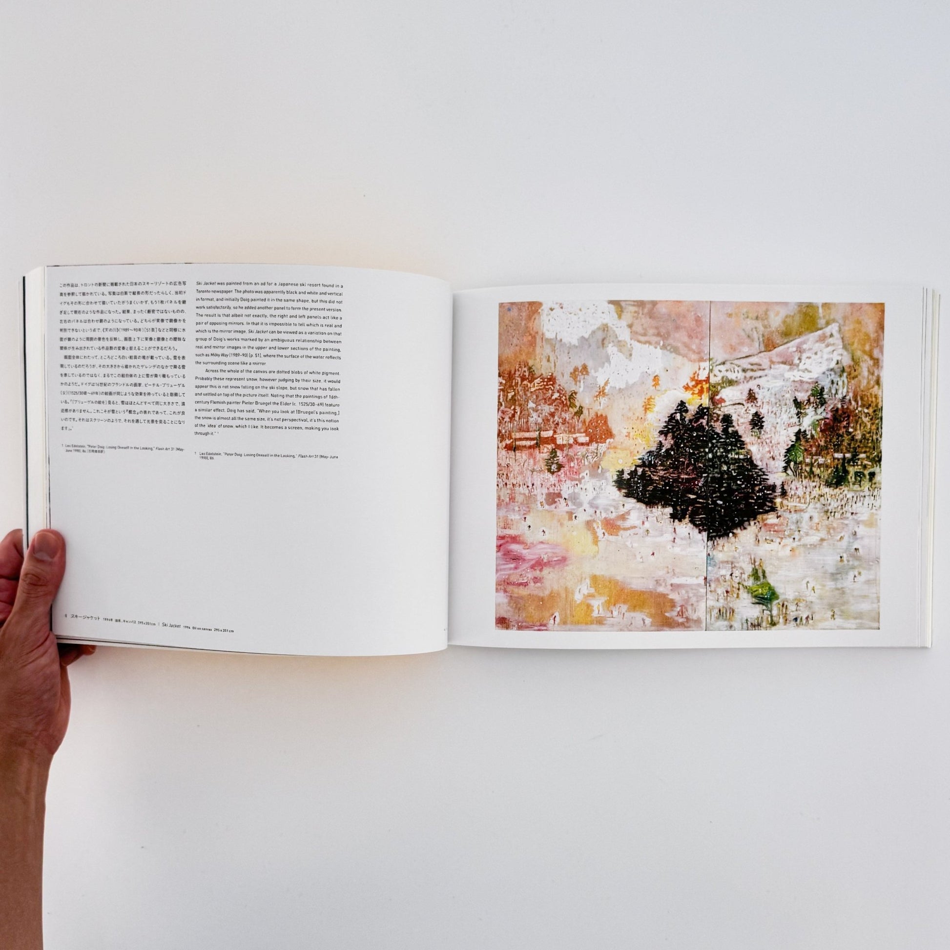 ピーター・ドイグ展図録 - 東京国立近代美術館 - 文福