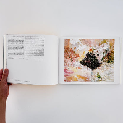 ピーター・ドイグ展図録 - 東京国立近代美術館 - 文福