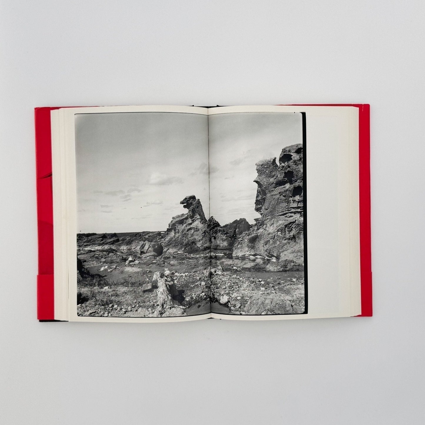 荒木経惟　写真私情主義 - 平凡社 - 文福