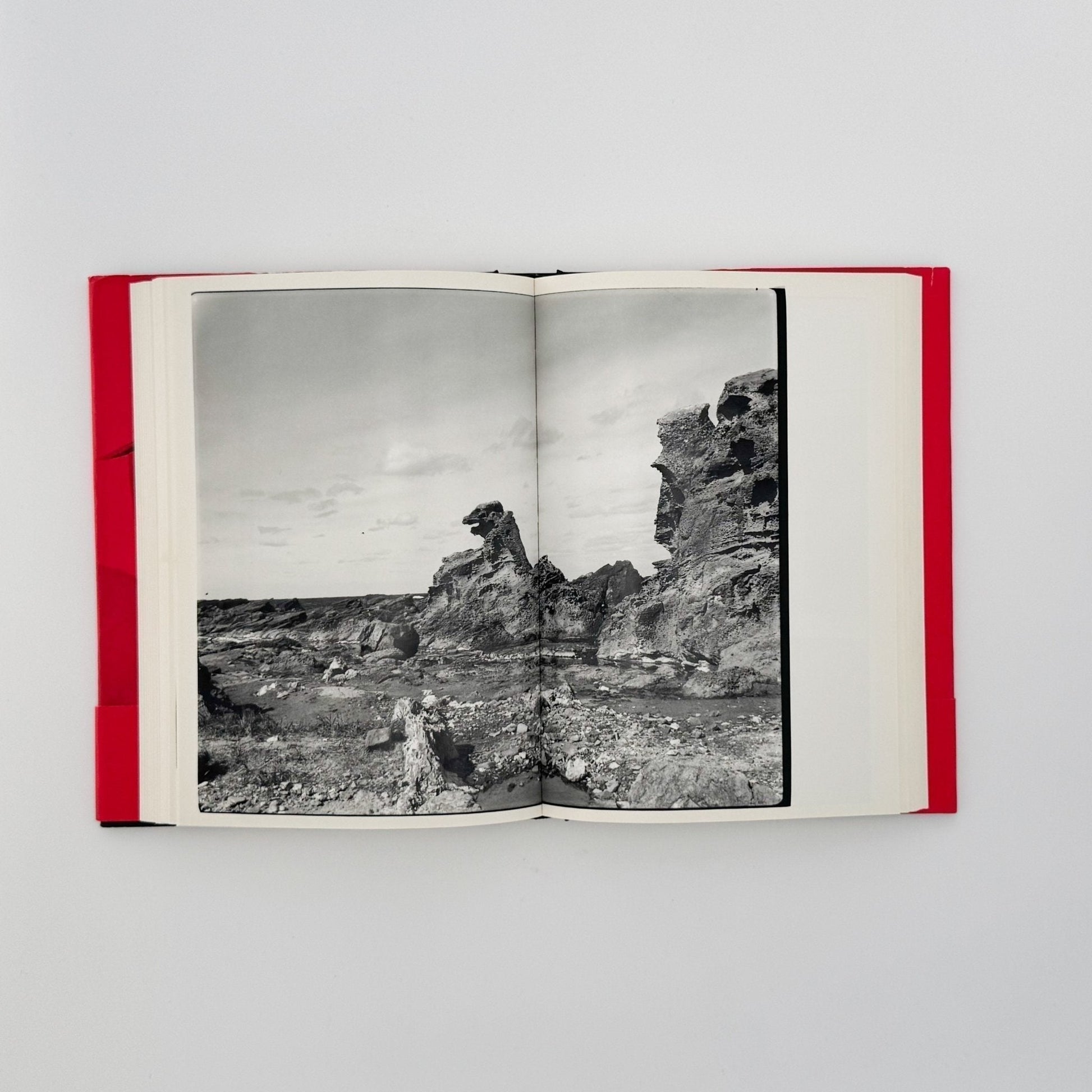 荒木経惟　写真私情主義 - 平凡社 - 文福