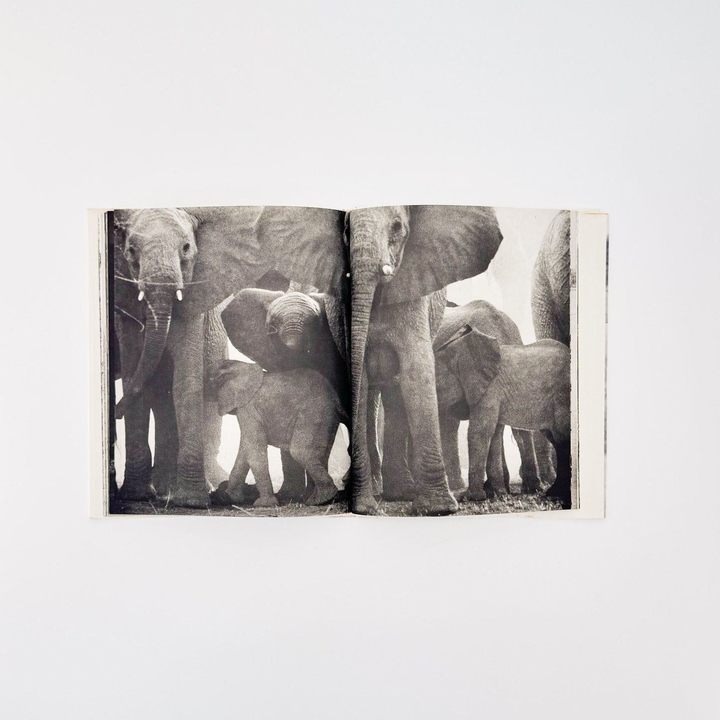 ピーター・ビアード　楽園からの最後の言葉 - 集英社 - 文福