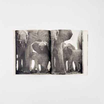 ピーター・ビアード　楽園からの最後の言葉 - 集英社 - 文福