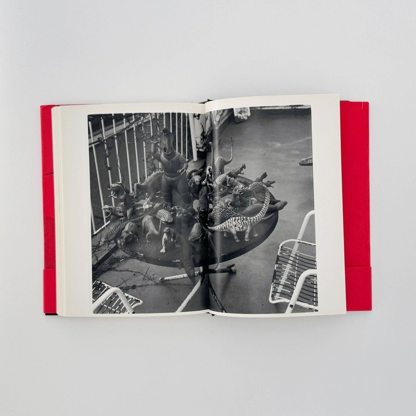 荒木経惟　写真私情主義 - 平凡社 - 文福