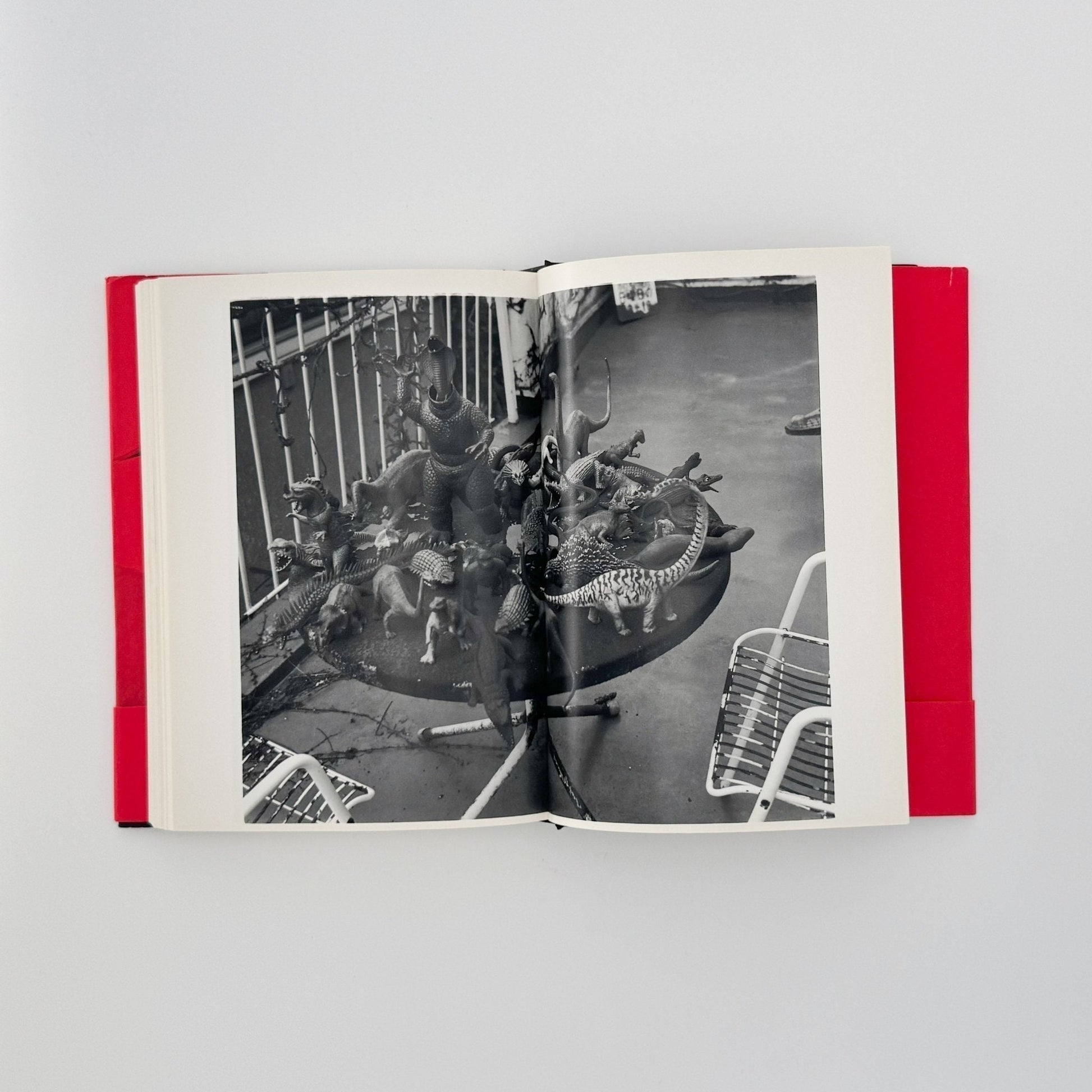 荒木経惟　写真私情主義 - 平凡社 - 文福