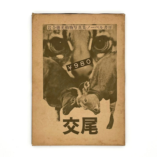 岩合徳光　交尾 - ノーベル書房 - 文福