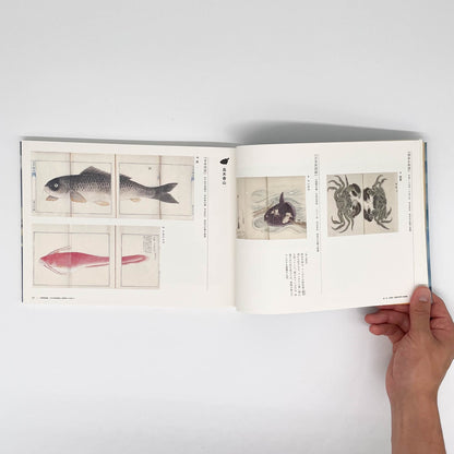 大野麥風展　「大日本魚類画集」と博物画にみる魚たち - 東京ステーションギャラリー - 文福