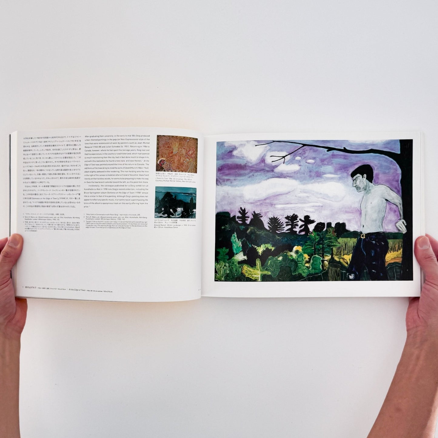 ピーター・ドイグ展図録 - 東京国立近代美術館 - 文福